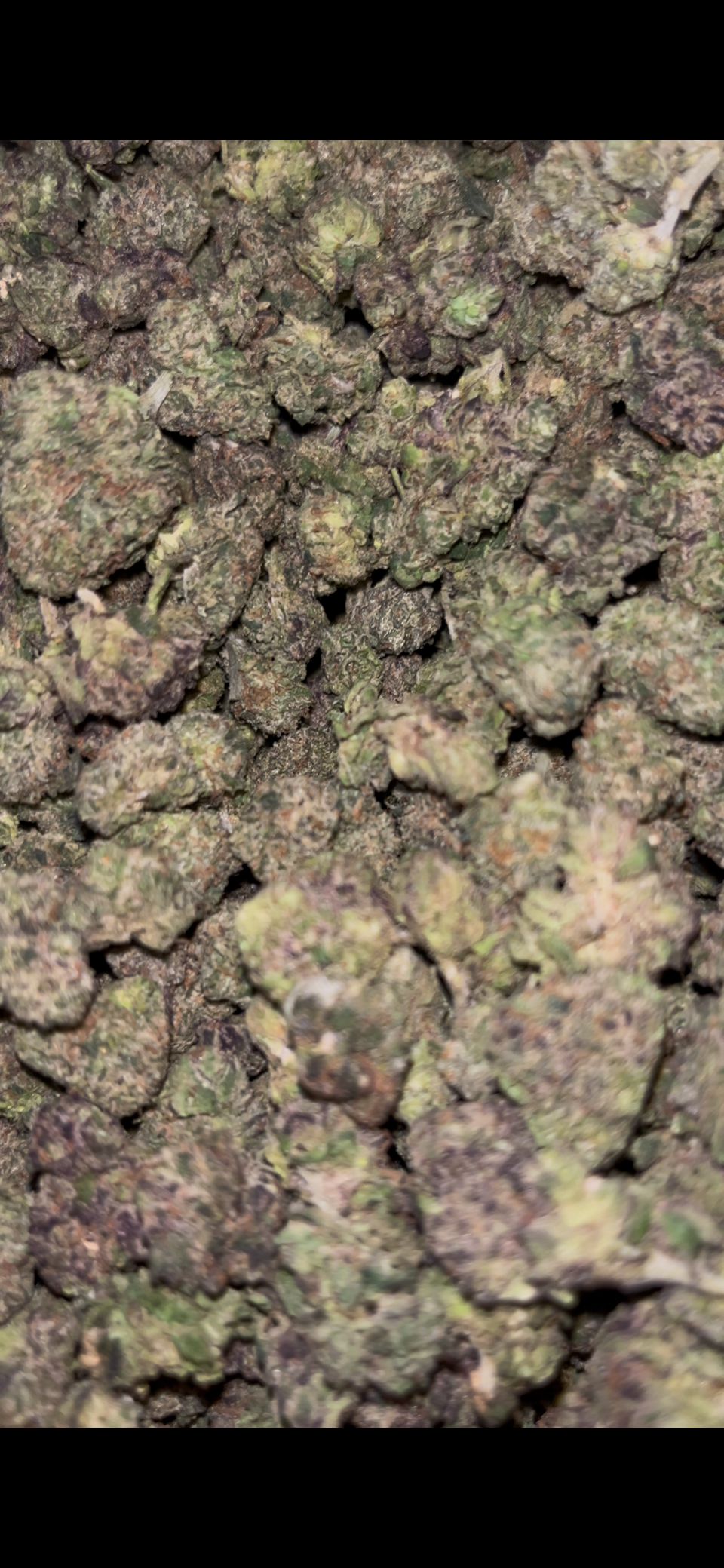 Hood Candy