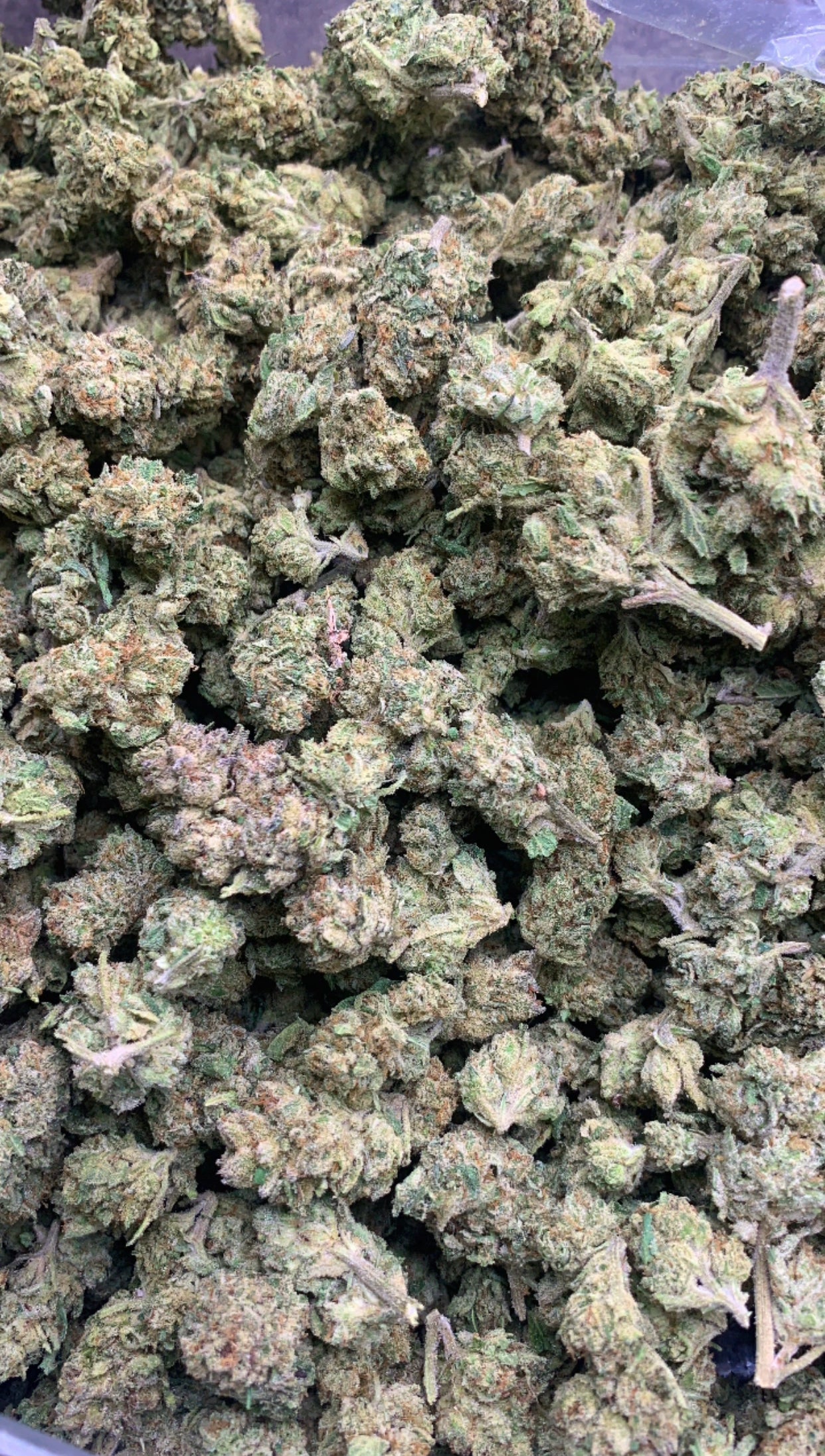 GRAPEFRUIT