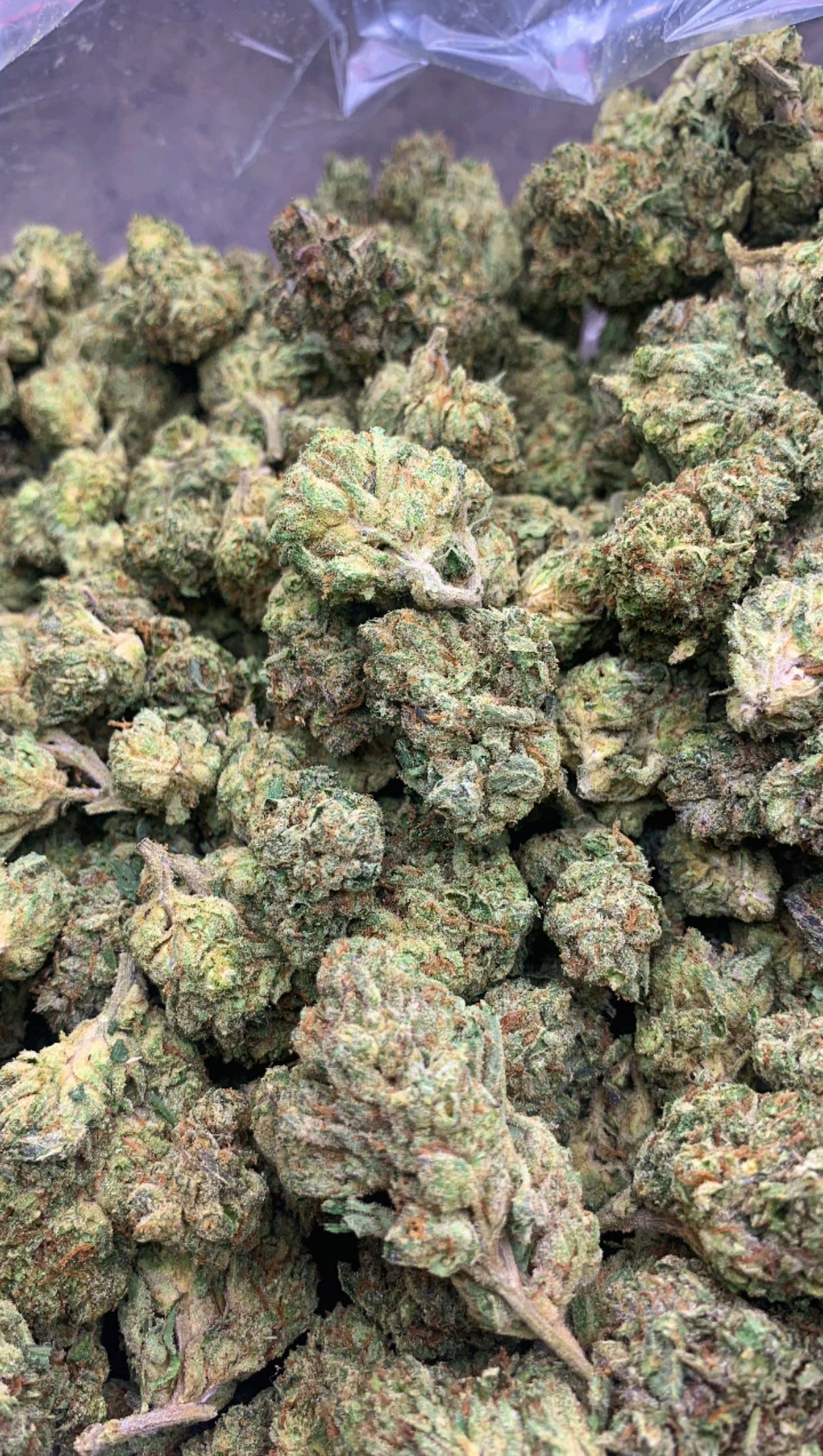 LEMON CHERRY GELATO