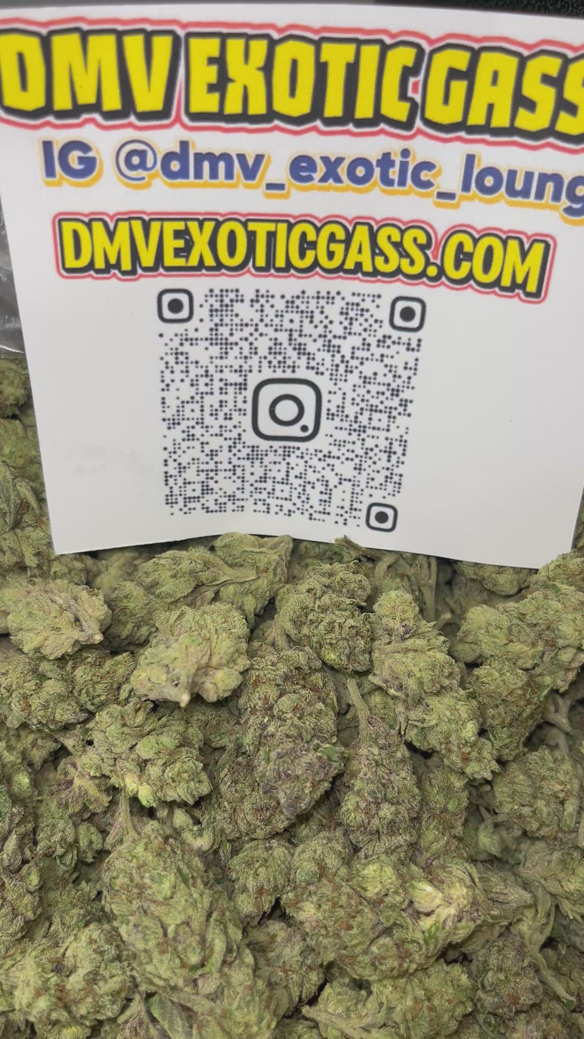 G13