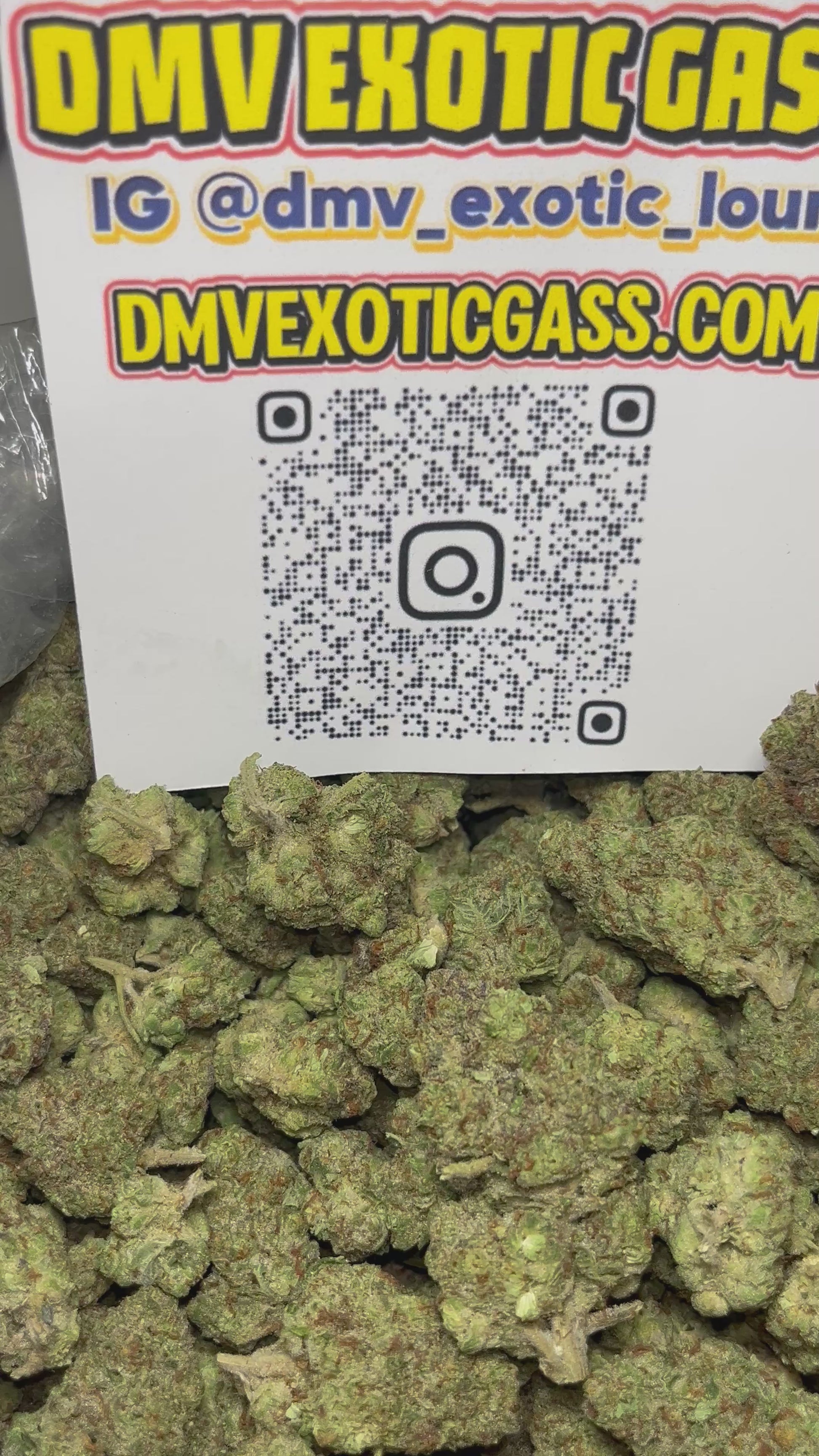 Bruce Banner