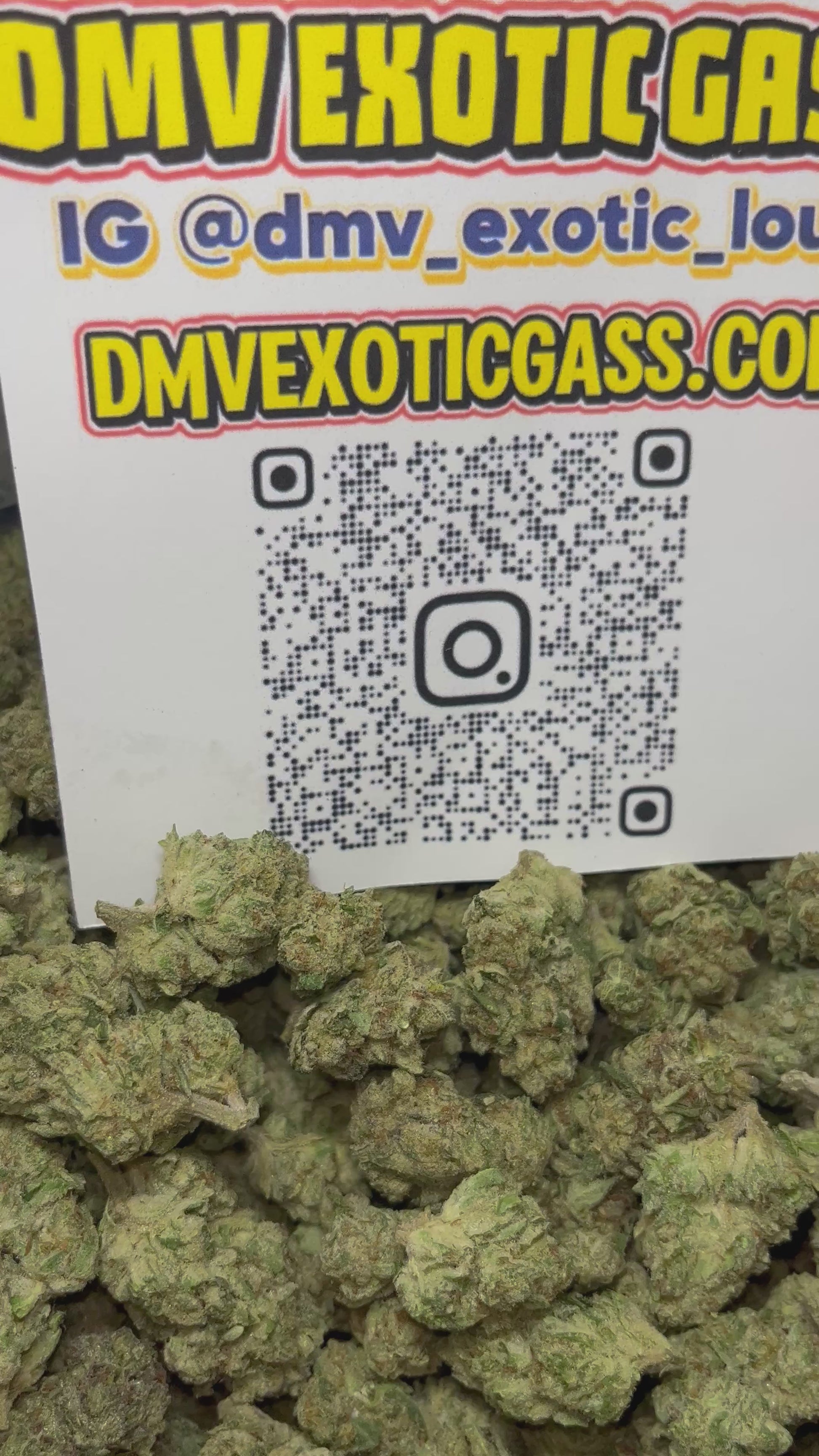 GG4